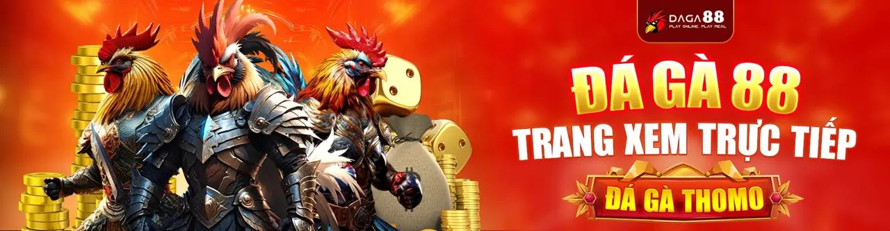 Mẹo chơi đá gà hiệu quả tại 999win
