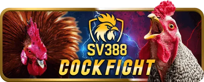 Hướng dẫn tham gia đá gà tại 999win liên kết mới